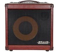DV Mark AC 101 H - combo acoustique - 1x10'' - 250W