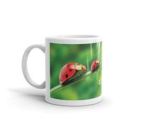 DV Mugs Ltd Tasse avec inscription « Beautiful Lady Bird » - Coccinelle et insecte pour enfant - Cadeau #8245 (Mug)