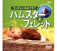 Dvd /