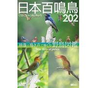 Dvd 202