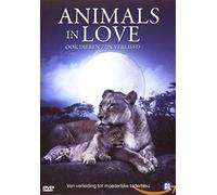 dvd - Animals in love (1 DVD)
