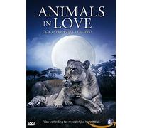 Dvd - Animals in Love