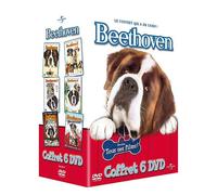 DVD Beethoven 1 à 5