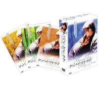 グッバイ・マイ・ラブ DVD-BOX 2