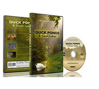 DVD Détente Étangs à Canard et Lacs des Cygnes avec oiseaux et sons naturels
