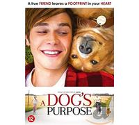 DVD - Dog's Purpose (1 DVD)