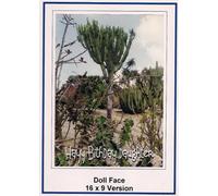 DVD Doll Face Widescreen TV:Greeting card : Happy Birthday Daughter