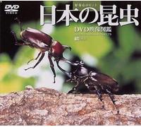 Dvd Dvd