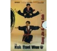 DVD: JIN - KUK SOOL WON (452)
