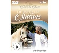 DVD La Chevaux Du Sultan Haut Pour Ross Arte DVD Ein Film De Wolfgang Wegner