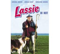 DVD * Lassie in Not [Import allemand]