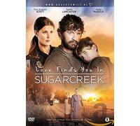 DVD - Love Finds You In Sugarcreek (1 DVD)