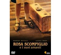 Dvd Rosa Scompiglio E I Suoi Amanti