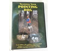 Dvd Training Your Pointing Dog Scott