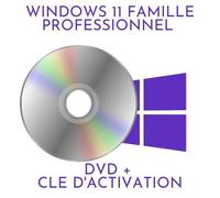 DVD Windows 11 Professionnel DVD