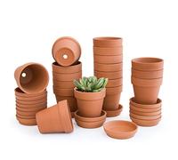 D'vine Dev Lot de 18 Pots en Terre Cuite avec soucoupes, 7,6 cm avec Plateau, Pots en Argile pour Plantes et Plantes Grasses, Terre Cuite, 588-51-1