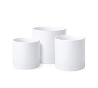 D'vine Dev Lot de 3 Pots de Plantation de Couleur Blanche pour Plantes avec Trou de Drainage et sauces sans Couture, Taille M, 74-E-M-1