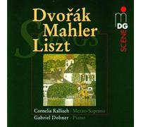 Dvorak - Gypsy Melodies/Knaben Wundehor