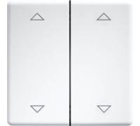 DW-FT55-rw+2P Eltako Interrupteur à bascule double