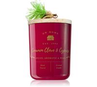 DW Home Farmhouse Cinnamon Clove & Cypress bougie parfumée 445 g