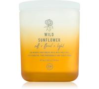 DW Home Prime Wild Sunflower bougie parfumée 269 g