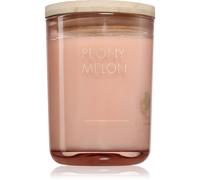 DW Home Ur•Bane Peony Melon bougie parfumée 215 g