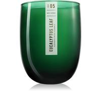 DW Home Wooden Wick Candles Eucalyptus Leaf bougie parfumée 479 g