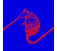 Dwarfs of East Agouza - Rats Don't Eat Synthesizers [Import]