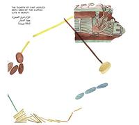 Dwarfs of East Agouza, the - Both Sides Of The Curtain [VINYL]