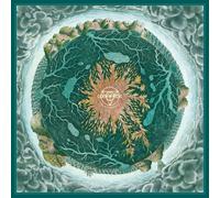 Dwellers Of The Deep