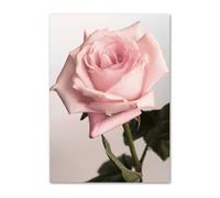 Dwetcxo Poster Mural Rose Rouge Toile Peinture Tableaux, Posters et Arts Décoratifs Tableau Peinture sur Toile Deco Tableau Decoration Murale Affiche Murale Chambre Salon Sans Cadre 30x40cm