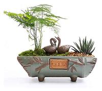 DWhui Pots de Fleurs Bonsai Pot Plante Verte Kiln Pots Céramique Creative Style Chinois Wen Grand Bambou charnue Violet Sable Vintage Pierre Pot