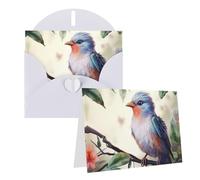 Dwrepo Cartes de vœux vierges avec enveloppes Motif oiseau mignon Pour toutes les occasions