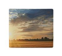 Dwrepo Field Sunrise - Portefeuilles en cuir pour femmes et hommes - Petit portefeuille fin à deux volets avec porte-cartes - Blanc, taille unique, décontracté, blanc, taille unique, décontracté,
