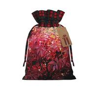 Dwrepo Lot de 1 sac cadeau de Noël avec cordon de serrage Motif buisson brûlant avec baies rouges Taille M Noir, Noir , 1 Count (Pack of 1)