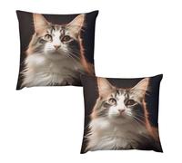 Dwrepo Lot de 2 housses de coussin décoratives en peluche courte en forme de chat pour canapé, voiture, chambre à coucher, décoration d'intérieur, 61 x 61 cm