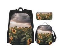 Dwrepo Lot de 3 sacs à dos 3 en 1 avec sac à déjeuner, boîte à stylos, sac à dos de voyage pour ordinateur portable de grande capacité, sac à dos décontracté pour homme et femme, noir, taille unique