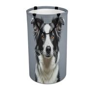 DWTJKMS Border Collie - Grand panier à linge pliable avec poignées de transport facile - Grand panier de rangement pour buanderie, dortoir, famille