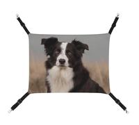 DWTJKMS Border Collie Hamac pour chat - Hamac de couchage doux réglable pour animaux domestiques - Utilisation en toutes saisons pour chats, furets, chiots, lapins, petits animaux (classique)