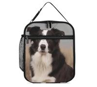 DWTJKMS Border Collie Sac à déjeuner isotherme, étanche pour homme et femme, avec poignée, boîte à déjeuner isotherme réutilisable pour bureau, travail, pique-nique