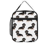 DWTJKMS Dachshund Weiner Sac à déjeuner isotherme pour animaux domestiques, étanche pour homme et femme, avec poignée, boîte à déjeuner isotherme réutilisable pour bureau, travail, pique-nique