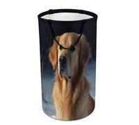 DWTJKMS Golden Retriever - Grand panier à linge pliable avec poignées de transport facile - Grand panier de rangement pour buanderie, dortoir, famille