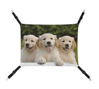 DWTJKMS Golden Retriever Hamac pour chat et chiot - Hamac de couchage doux réglable pour animaux domestiques - Utilisation en toutes saisons pour chats, furets, chiots, lapins, petits animaux