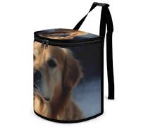 DWTJKMS Golden Retriever Poubelle de voiture avec couvercle de grande capacité à suspendre, étanche, étanche, accessoires d'intérieur