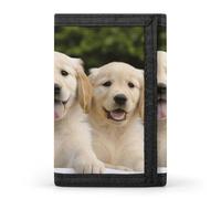 DWTJKMS Golden Retriever Puppies Portefeuille minimaliste à trois volets pour homme Portefeuille moderne tendance antivol pour cartes et espèces