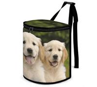 DWTJKMS Golden Retriever Puppies Poubelle de voiture avec couvercle de grande capacité à suspendre, étanche, étanche, accessoires d'intérieur