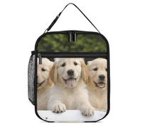 DWTJKMS Golden Retriever Sac à déjeuner isotherme, étanche pour homme et femme, avec poignée, boîte à déjeuner isotherme réutilisable pour bureau, travail, pique-nique