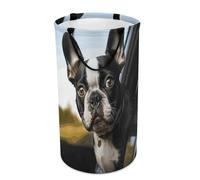 DWTJKMS Grand panier à linge pliable avec poignées de transport pour chiot terrier Boston Terrier, grand panier de rangement pour buanderie, dortoir, famille