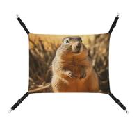 DWTJKMS Hamac de couchage doux dessiné à la main pour chat, furet, chiot, lapins, petits animaux (classique)