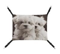 DWTJKMS Hamac maltais mignon pour chiot et chat - Hamac de couchage doux réglable pour animaux domestiques - Pour toutes les saisons - Pour chats, furets, chiots, lapins, petits animaux (classique)